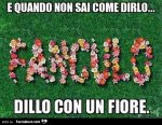 IMG_5335.jpeg