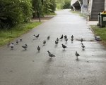 IMG_2379.jpeg