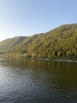 IMG_2412.jpeg