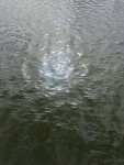 IMG_2522.jpeg