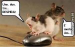 mousemorto.jpg