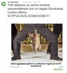 Nuova immagine bitmap.jpg