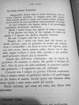 5 lotta amante.jpg